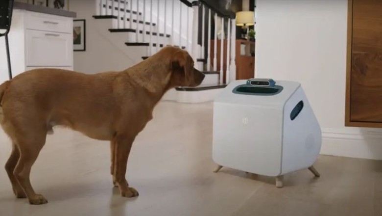 Njihuni me robotin që kujdeset për qentë, i ushqen dhe luan me ta vetëm për 49 dollarë në muaj…
