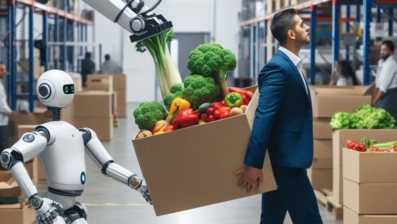 Tragjike/Roboti shtyp për vdekje një person, e ngatërron me një kuti perimesh në fabrikë