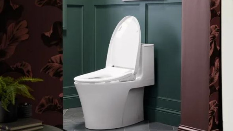 Kjo është bideja inteligjente që mund të flisni me të, kushton 10,000 dollarë!