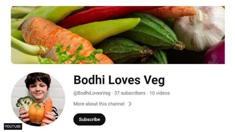 "Së shpejti nuk do të ketë më kafshë"/6-vjeçari krijon kanal në YouTube për vegjetarianizmin